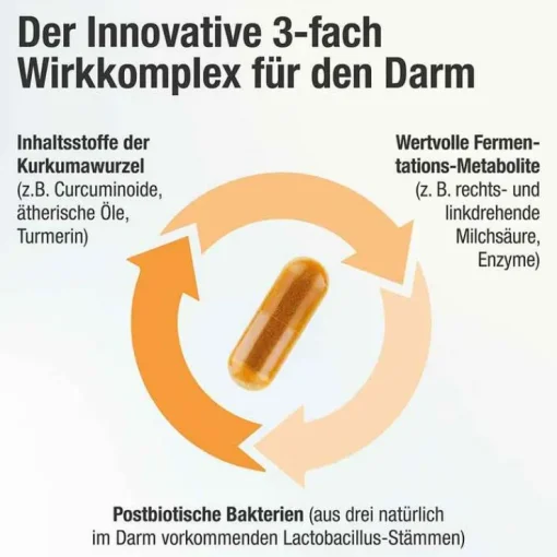 Acurmin Ferment Kurkuma Pfeffer Kapseln, 60 St