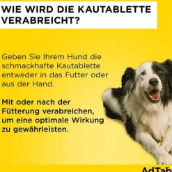 AdTab™ Kautabletten für sehr kleine Hunde 56 mg 1,3 bis 2,5 kg, 3 St