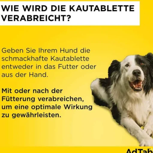 AdTab™ Kautabletten für sehr kleine Hunde 56 mg 1,3 bis 2,5 kg, 3 St