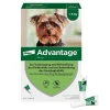 Advantage 40 für Hunde bis 4 kg, 4 St