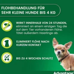 Advantage 40 für Hunde bis 4 kg, 4 St