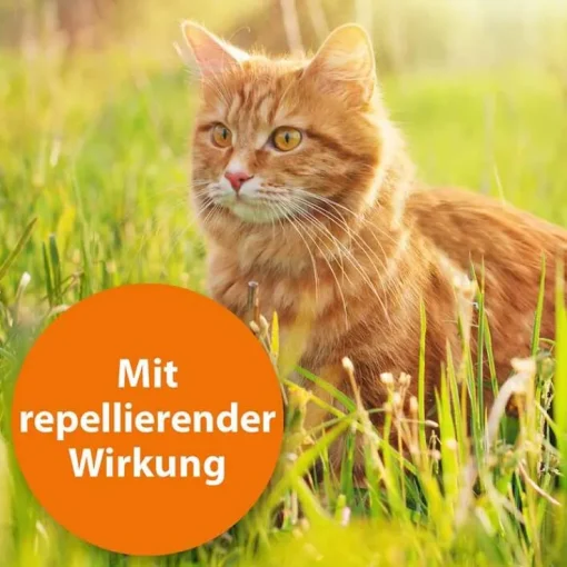 Ardap Spot-On für große Katzen über 4 kg, 3 St
