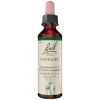 Bachblüten Nr. 4 Centaury Tropfen, 20 ml