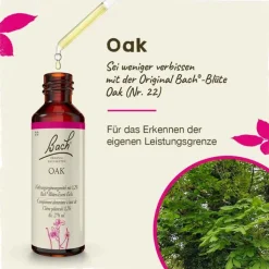 Bachblüten Nr. 22 Oak Tropfen, 20 ml