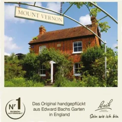 Bachblüten Nr. 33 Walnut Tropfen, 20 ml