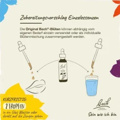 Bachblüten Nr. 34 Water Violet Tropfen, 20 ml