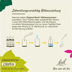 Bachblüten Nr. 34 Water Violet Tropfen, 20 ml