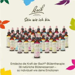 Bachblüten Nr. 34 Water Violet Tropfen, 20 ml