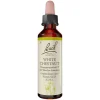 Bachblüten Nr. 35 White Chestnut Tropfen, 20 ml