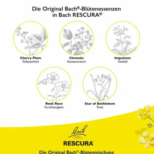 Bachblüten Original Rescura Kids Tropfen Erdbeer alkoholfrei, 10 ml