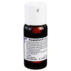 Bryophyllum Urtinktur, 50 ml