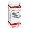DHU Platinum metallicum C 12 Globuli, 10 g