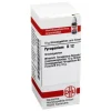 DHU Pyrogenium D 12 Globuli, 10 g