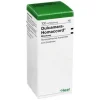 Dulcamara Homaccord Tropfen, 100 ml