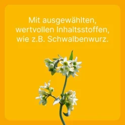 Engystol® ad us. vet. Tabletten, 100 St