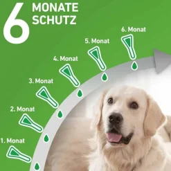 FRONTLINE COMBO® gegen Zecken, Flöhe bei Hunden S (2 -10 kg), 6 St