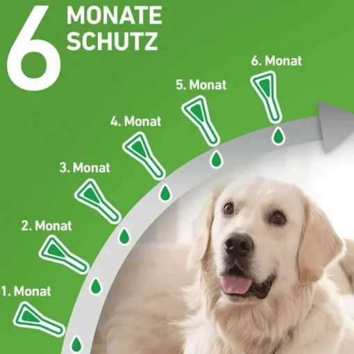 FRONTLINE COMBO® gegen Zecken, Flöhe bei Hunden S (2 -10 kg), 6 St