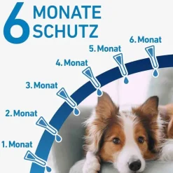 FRONTLINE® SPOT ON Hund S Lösung, 6 St