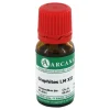 Graphites Arcana LM 12 Dilution, 10 ml