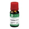 Graphites Arcana LM 6 Dilution, 10 ml