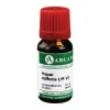 Hepar sulfuris Arcana LM 6 Dilution, 10 ml