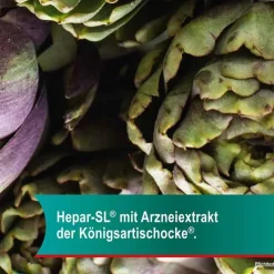 Hepar-SL® 320 mg Hartkapseln, 100 St