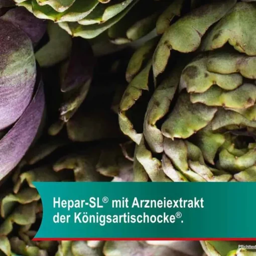 Hepar-SL® 320 mg Hartkapseln, 100 St