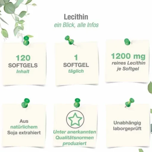 Lecithin 1200 mg Sojalecithin + Vitamin E vegan Weichk., 120 St