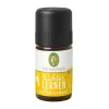 Leichter lernen Duft ätherisches Öl, 5 ml