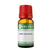 Luffa operculata Arcana LM 1 Dilution, 10 ml