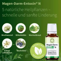 Magen Darm Entoxin N Tropfen, 20 ml