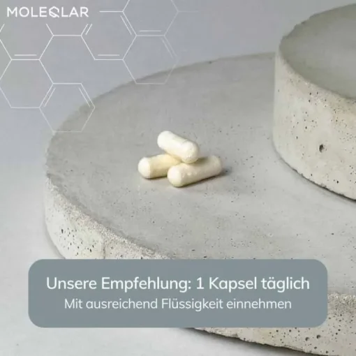 Moleqlar Longevity NR + Nicotinamid Kapseln, 30 St