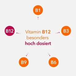 Neuropax-ratiopharm forte Kapseln, 80 St