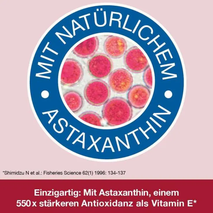 Omega 3-Loges plus Kapseln, 120 St