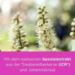 remifemin® PLUS Johanniskraut , 180 St