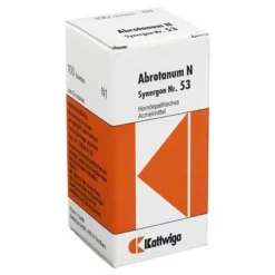 Synergon 53 Abrotanum N Tabletten, 100 St