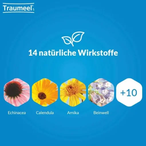 Traumeel S Tabletten, 250 St
