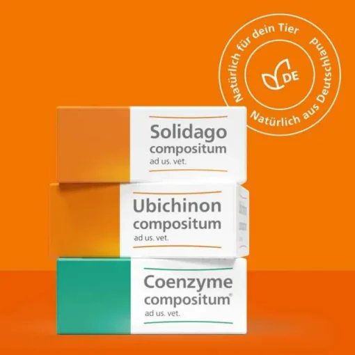Ubichinon compositum ad us. vet. Ampullen, 10 St