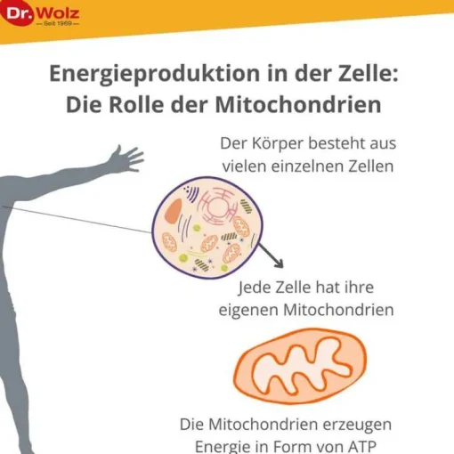 Zell Oxygen plus flüssig, 250 ml